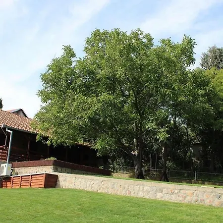 Vila Koral Villa Sremska Kamenica