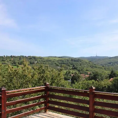 Vila Koral Villa *